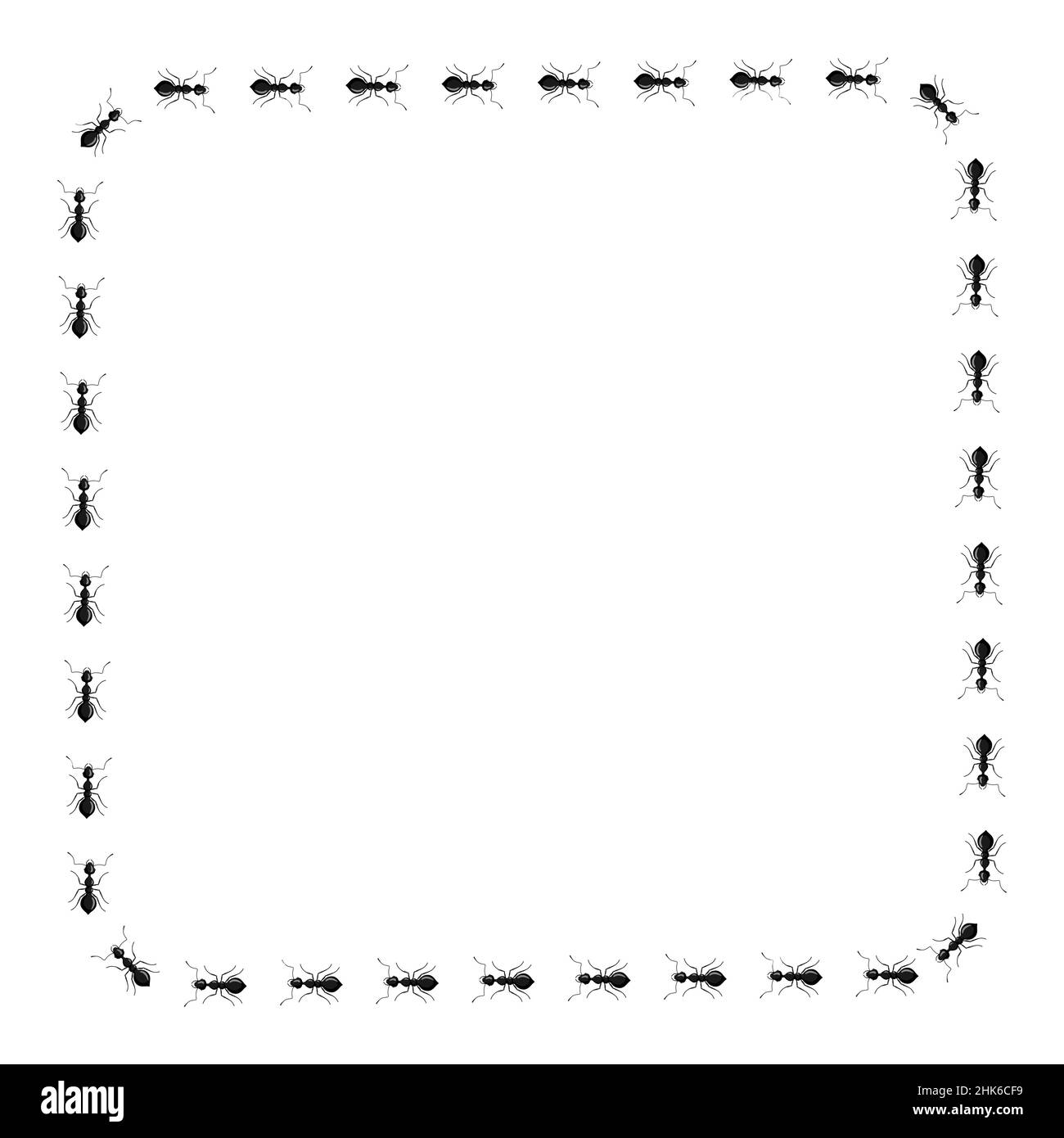 Formiche quadrate isolate su sfondo bianco. Carattere vettoriale insetti in stile piatto per l'illustrazione di libri, logo di design, articoli e riviste. Illustrazione Vettoriale