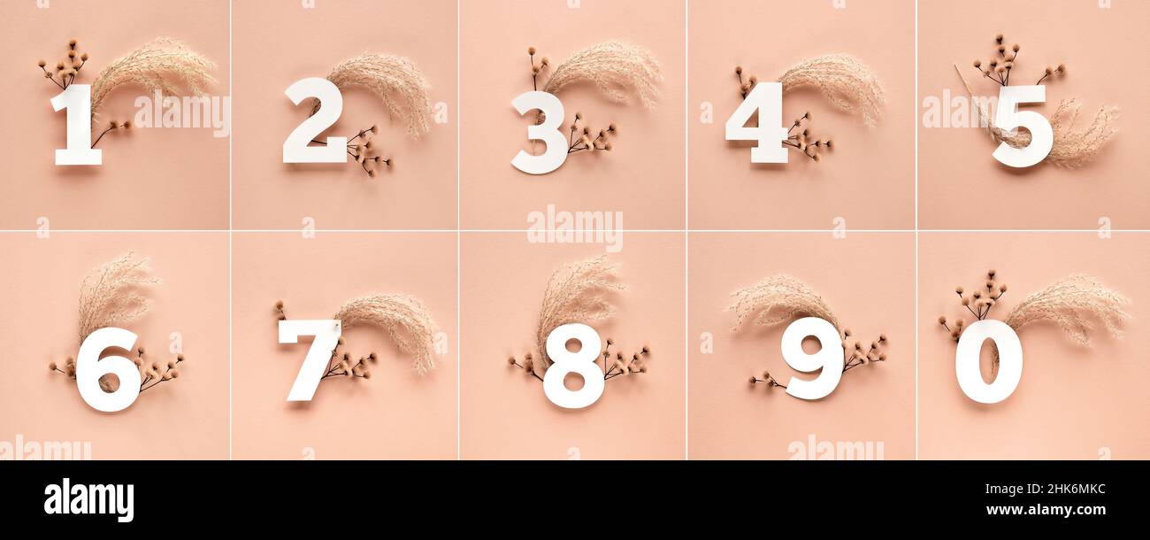 Numeri con erba di pampas asciutta, fiori. Numeri da uno a dieci con decorazioni floreali su carta beige. Foto Stock