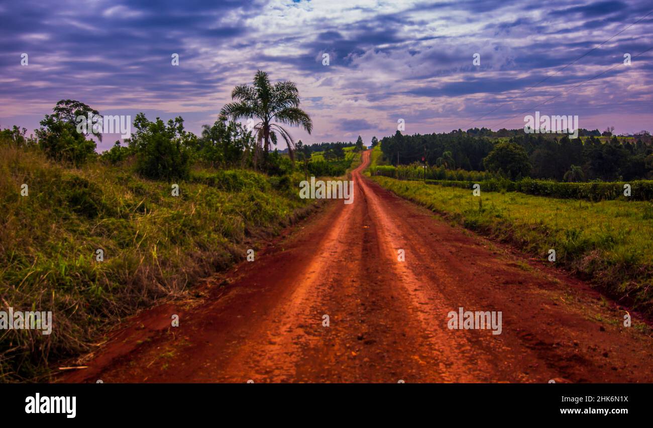 Strada sterrata rossa e cielo blu con una palma in Aristobulo del Valle, Misiones, Argentina Foto Stock