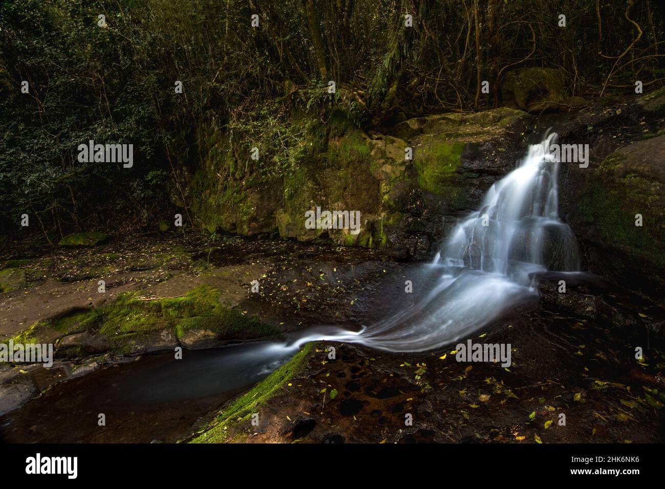 Goccia d'acqua nel Parco Nazionale di Salto Encantado, detto Salto Colibrí (salto di uccelli umming) tra la foresta della giungla in Aristobulo del Valle, Misiones, Arg Foto Stock