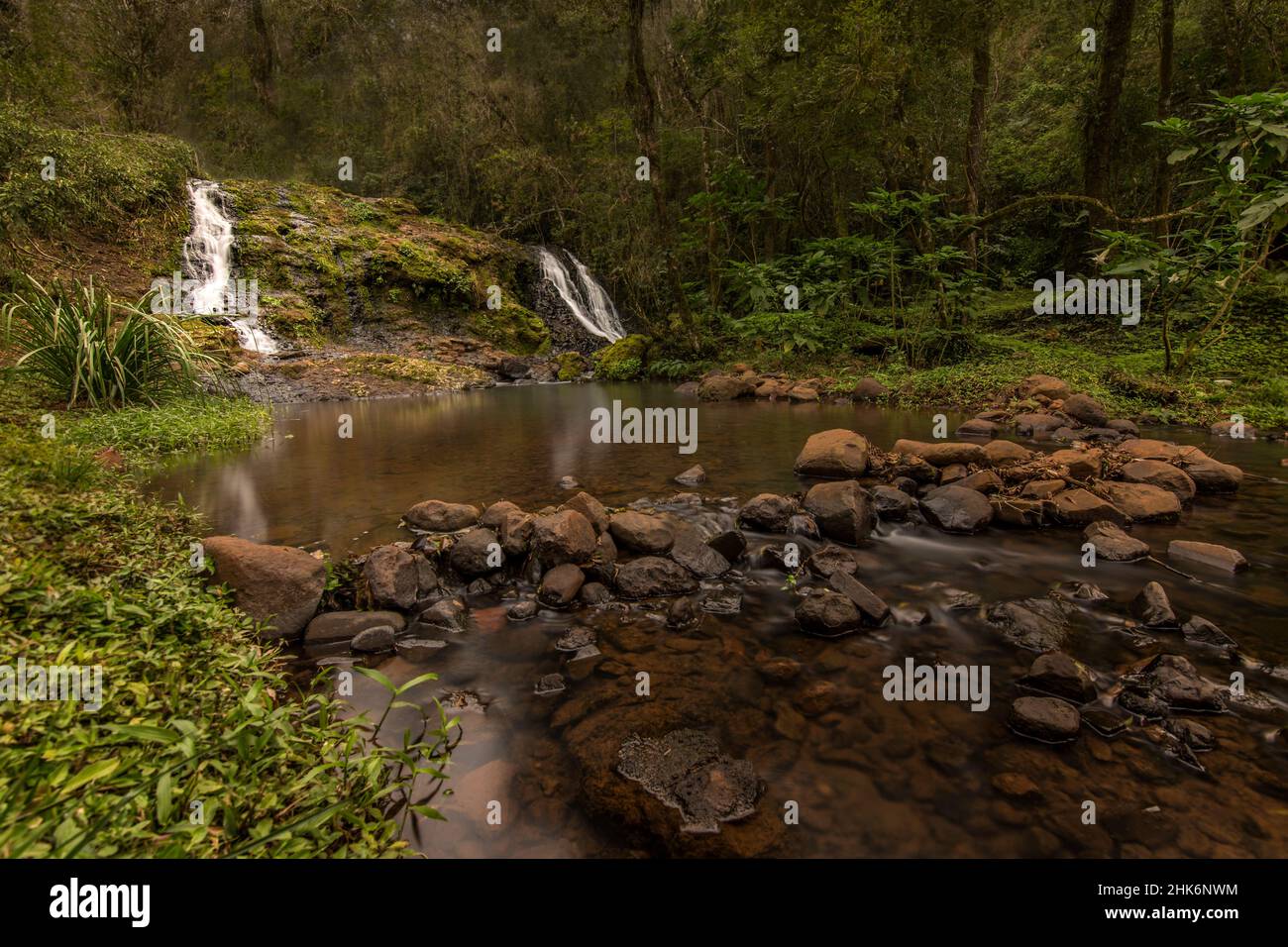 Goccia d'acqua in El Soberbio tra la foresta pluviale giungla a Misiones, Argentina Foto Stock