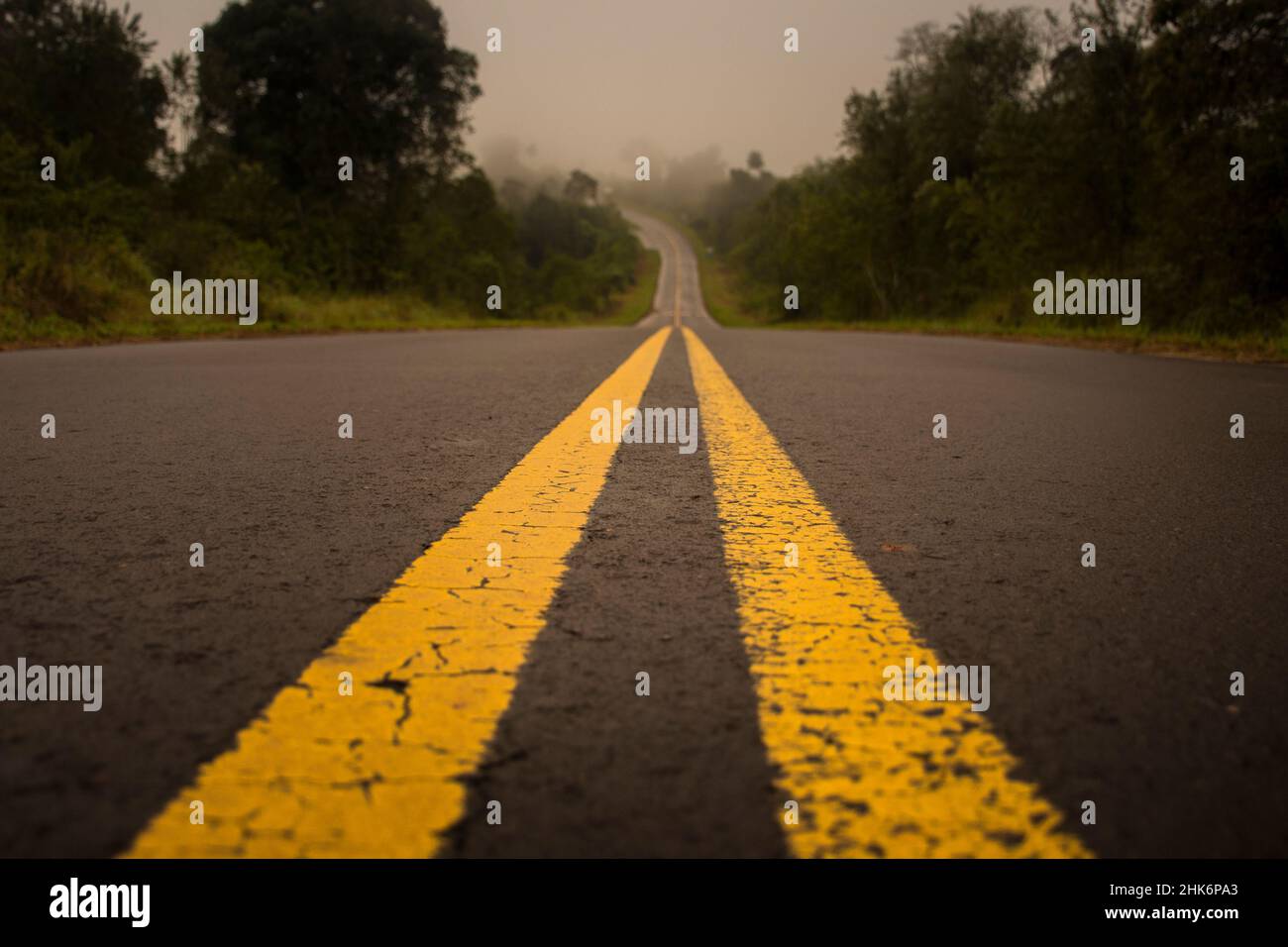 Linee gialle nella strada nel mezzo di una foresta in una giornata di nebbia a El Soberbio, Misiones, Argentina Foto Stock