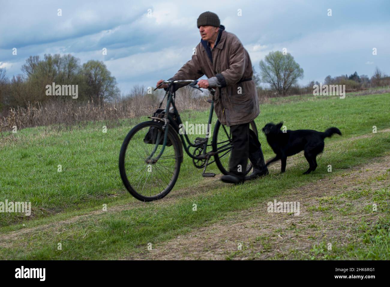 Un uomo anziano, che ha una bicicletta a cavallo su un prato, con il suo cane Foto Stock