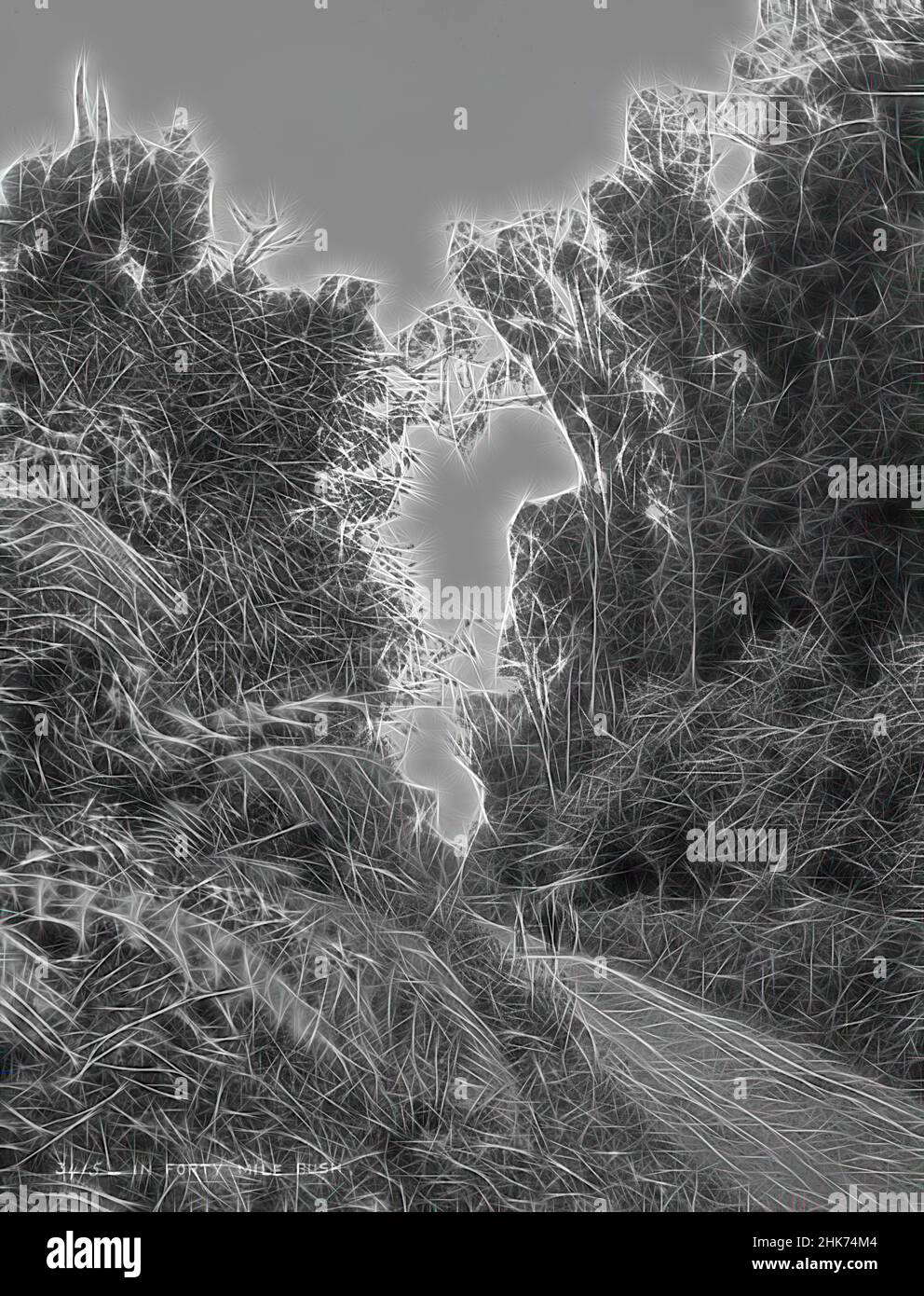 Ispirato a Forty Mile Bush, studio Burton Brothers, studio fotografico, Nuova Zelanda, fotografia in bianco e nero, Reinventato da Artotop. L'arte classica reinventata con un tocco moderno. Design di calda e allegra luminosità e di raggi di luce. La fotografia si ispira al surrealismo e al futurismo, abbracciando l'energia dinamica della tecnologia moderna, del movimento, della velocità e rivoluzionando la cultura Foto Stock