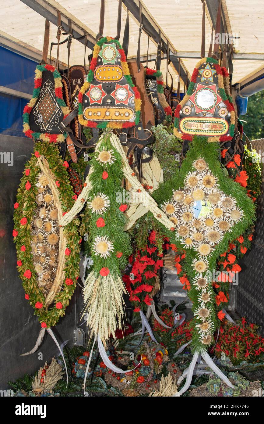 Headdress per le mucche all'Almabtrieb appeso in un rimorchio del cavallo, Tirolo, Austria Foto Stock