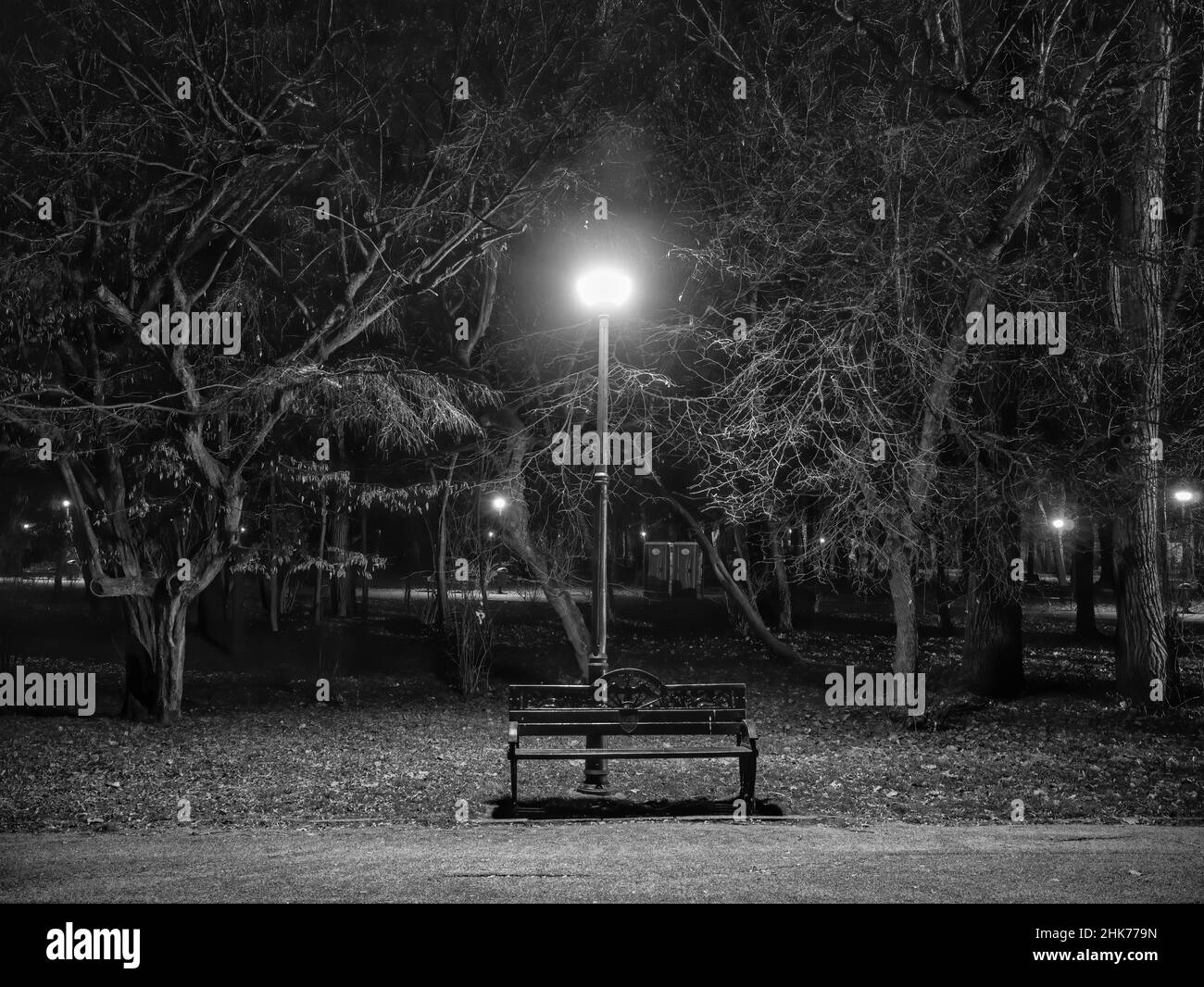 Sentiero notturno nel parco. Vicolo nel parco con pali leggeri e panchine. Fotografia in bianco e nero Foto Stock