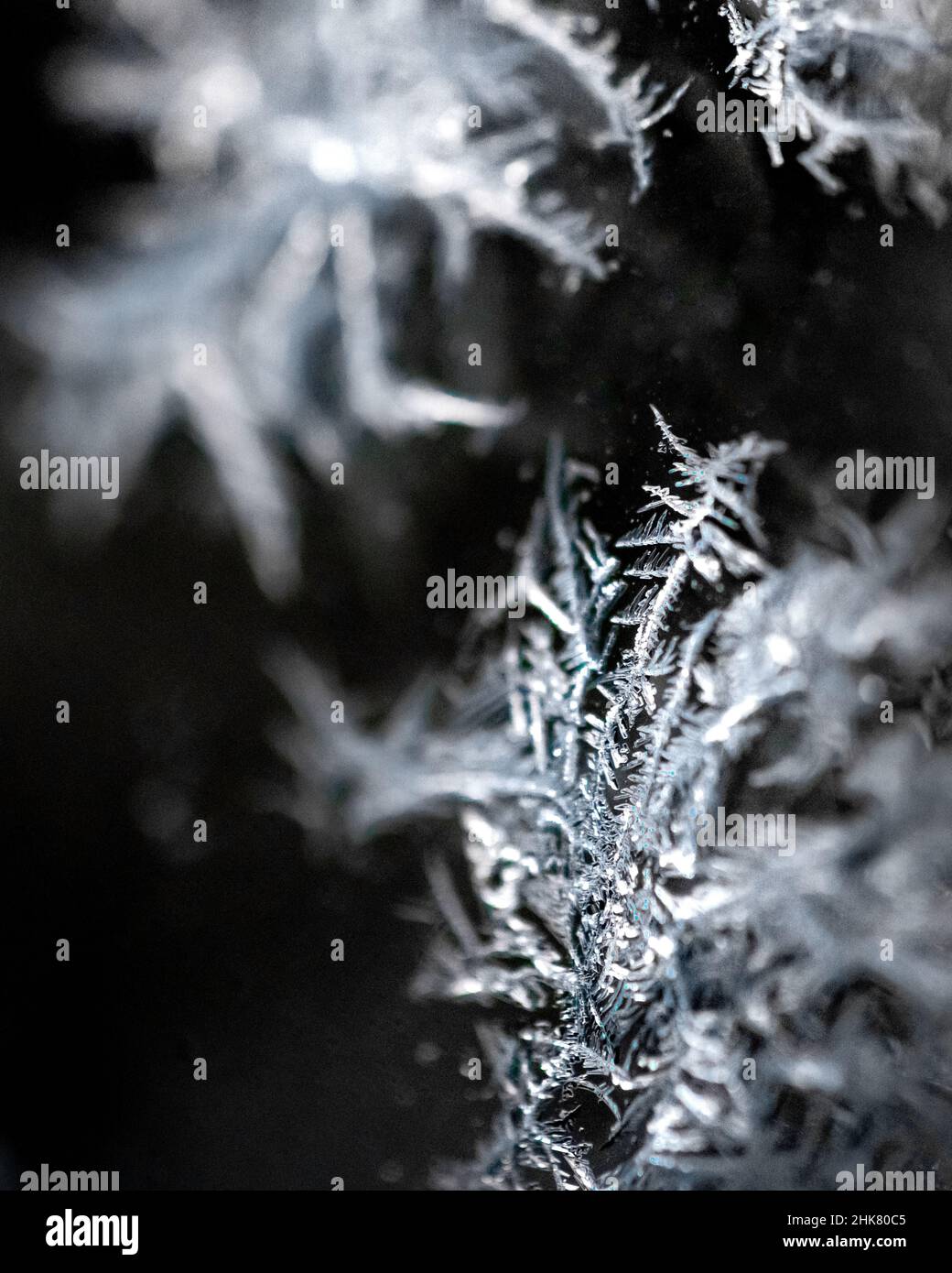 Ghiaccio cristalli gelo - l'acqua congelata forma filigrana modelli in inverno ghiaccio fiocchi - ghiaccio gelido - clima freddo struttura Foto Stock