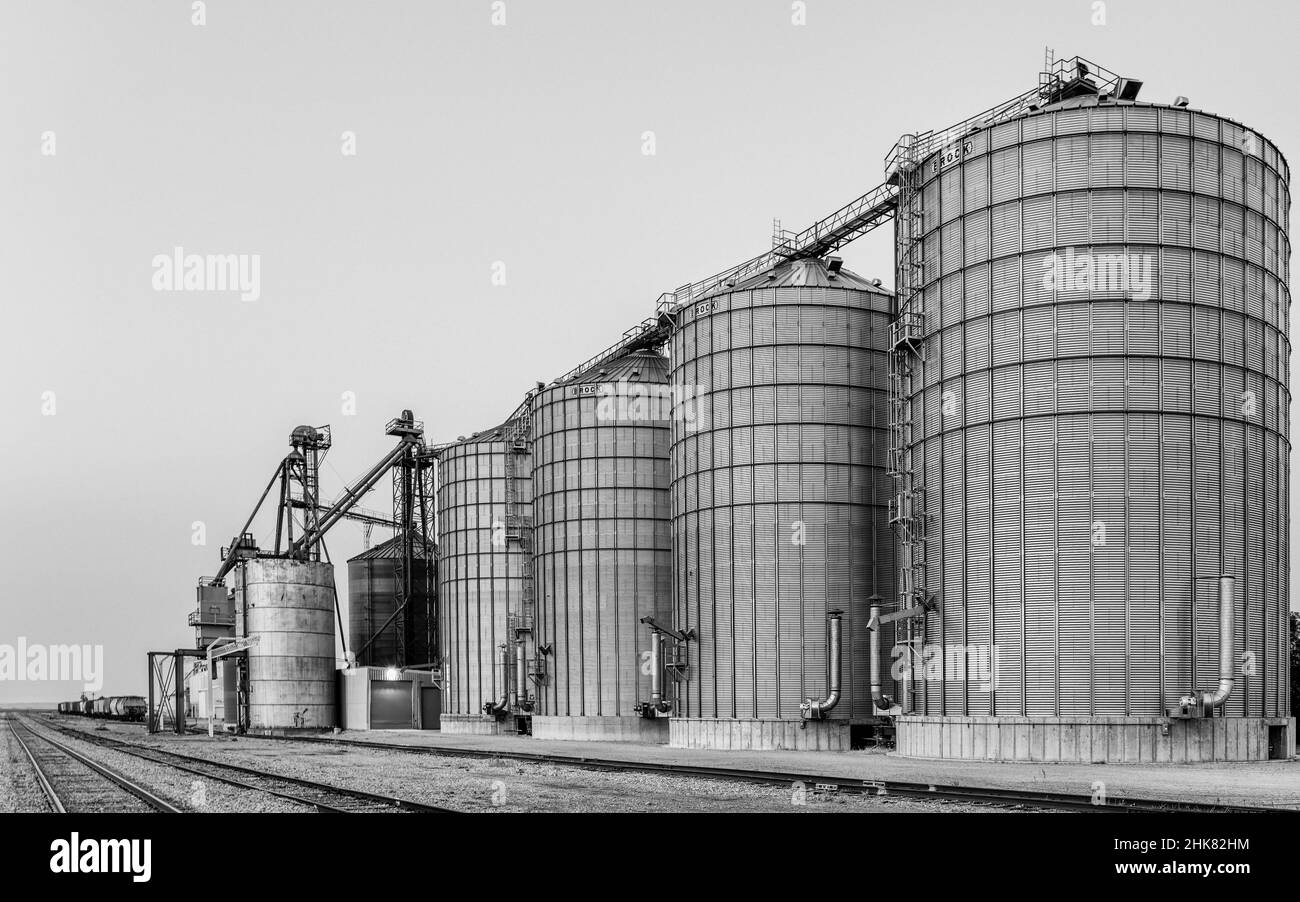 WALL, SD - AUG 2021 : Castelli delle pianure. Bidoni agricoli di grano lungo le rotaie in Sud Dakota rurale. Foto Stock