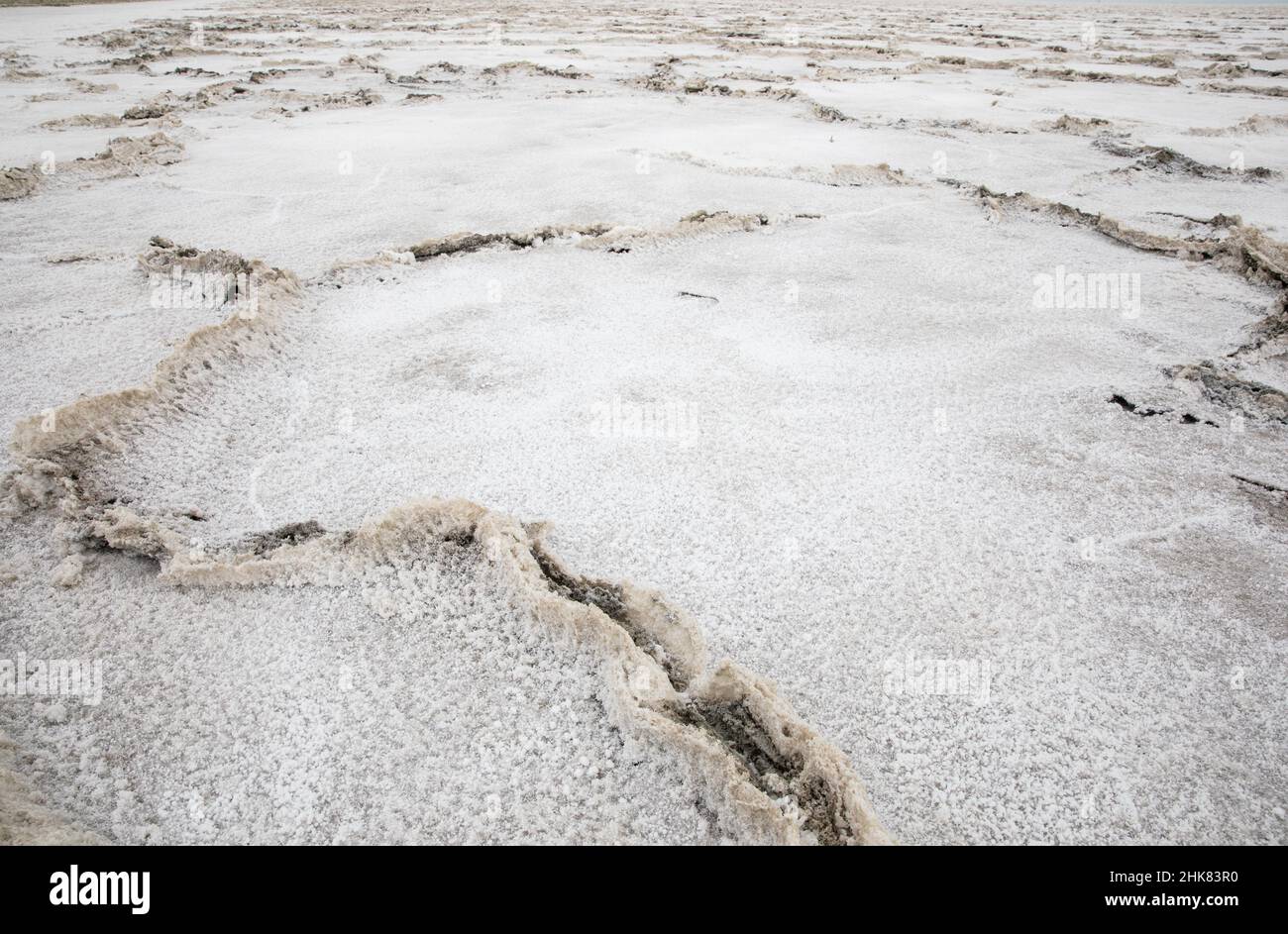 Crepe grandi nella terra ai piani di sale Foto Stock