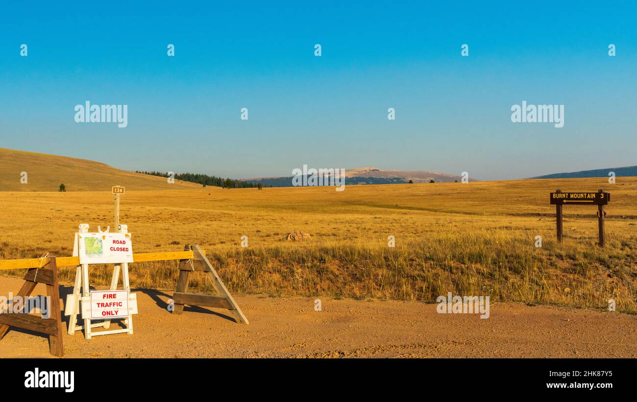 Bighorn National Forest, Stati Uniti 2021 ago 13: La strada per Burnt Mountain è chiusa dai vigili del fuoco del servizio forestale degli Stati Uniti mentre combattono un selvaggio Foto Stock
