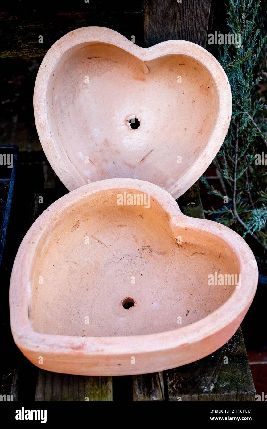 Valentines giorno cuori vasi di ceramica piantatrici Foto Stock
