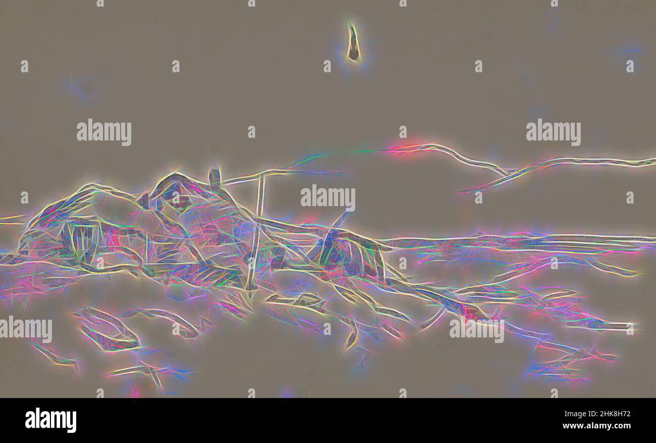 Ispirato dalla spedizione a Nova Zembla, un arcipelago russo nell'Oceano Artico nel 1880, vista delle case fuori Hammerfest, reinventata da Artotop. L'arte classica reinventata con un tocco moderno. Design di calda e allegra luminosità e di raggi di luce. La fotografia si ispira al surrealismo e al futurismo, abbracciando l'energia dinamica della tecnologia moderna, del movimento, della velocità e rivoluzionando la cultura Foto Stock