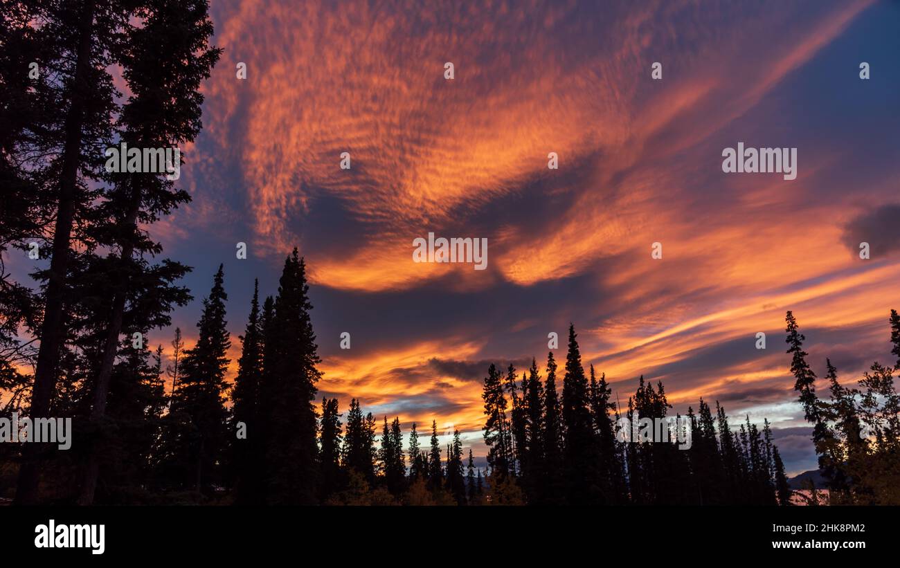 Bellissimo tramonto in Canada durante l'autunno con nuvole rosa brillante e swishy che si formano sopra un paesaggio settentrionale. Foto Stock