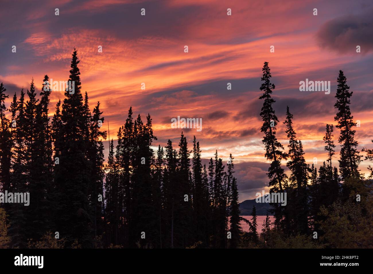 Splendido sfondo del cielo al tramonto con un paesaggio panoramico rosa, arancione e viola. Foto Stock