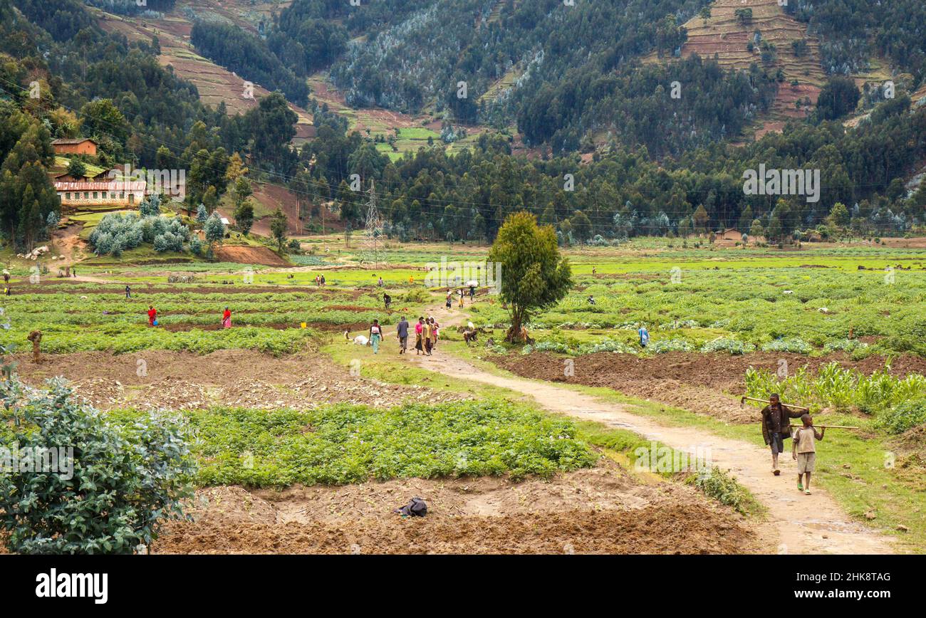 Scena rurale nel Rwand nord-occidentale Foto Stock