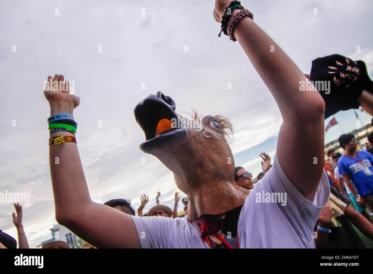 I fan hanno indossato la maschera di cavallo e godersi la musica rock con lo slam durante un Pentaport Rock Festival al Songdo, vicino all'IFEZ di Incheon. Festival tenuto 1 to3th agosto tre giorni programma ogni anno. Foto Stock
