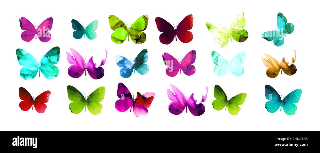 Set di farfalle acquerello. Illustrazione vettoriale Illustrazione Vettoriale