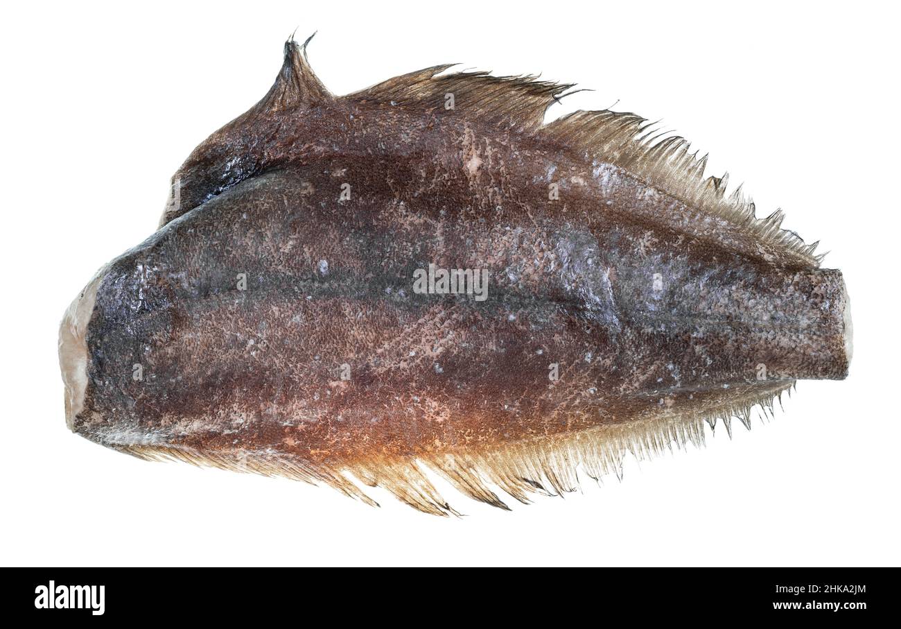 pesce halibut surgelato senza testa isolato su sfondo bianco Foto Stock