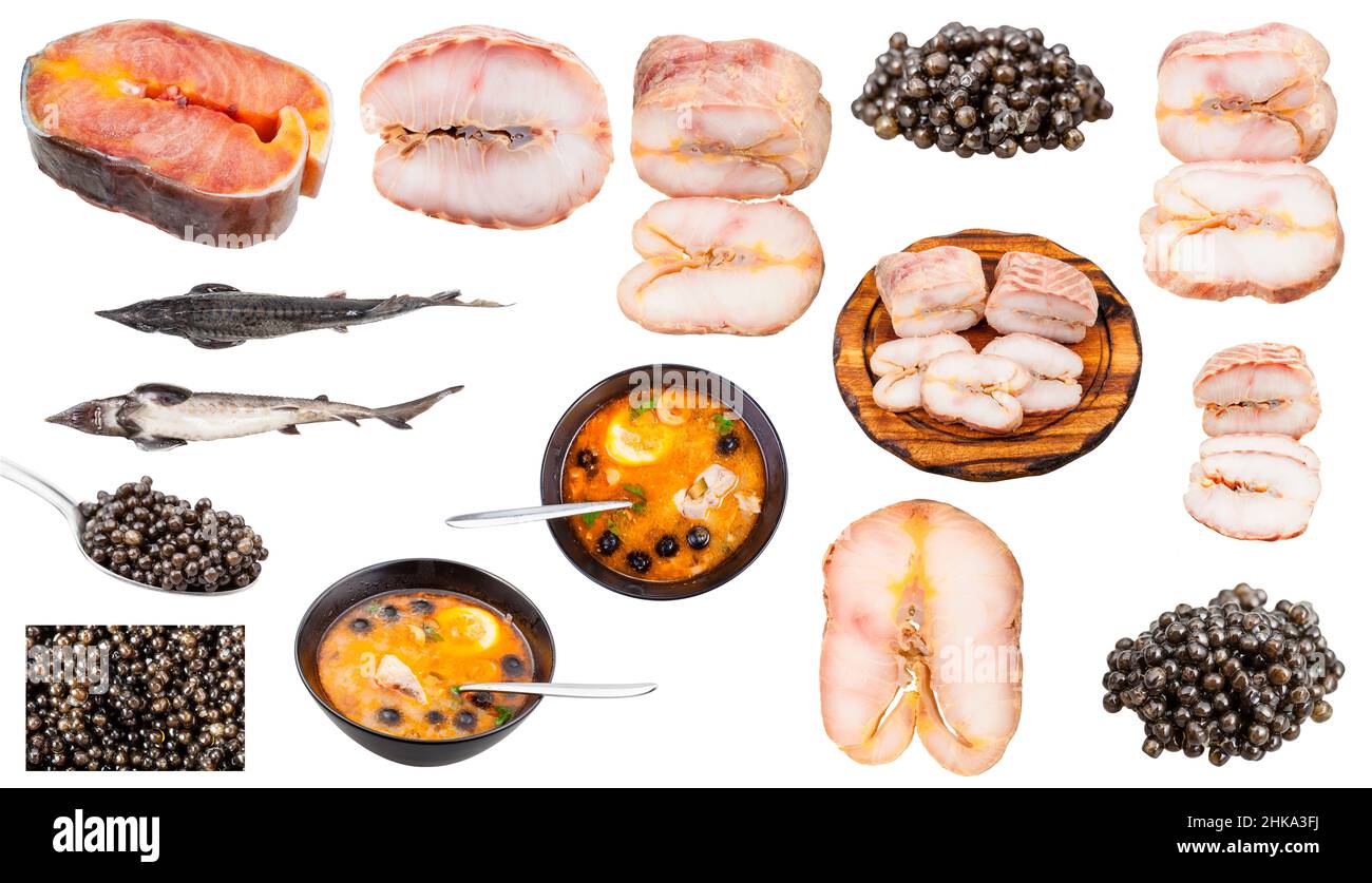set di vari alimenti da pesci storione isolato su sfondo bianco Foto Stock