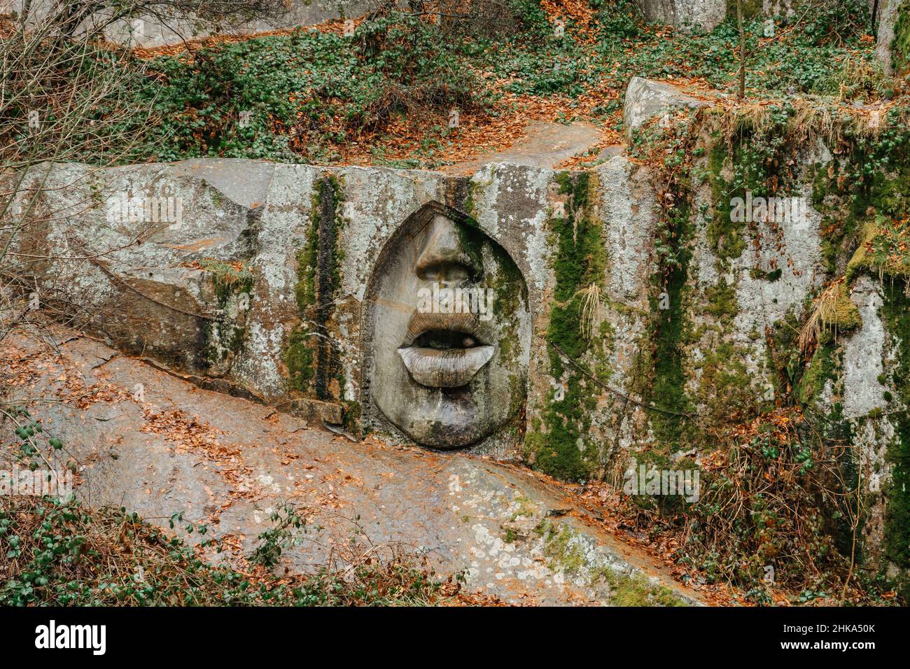 Sollievo rock chiamato Usta pravdy, bocca della verità, nella foresta vicino Lipnice nad Sazavou, Repubblica Ceca, ispirato dalla bocca della Verita.destinazione turistica in Foto Stock