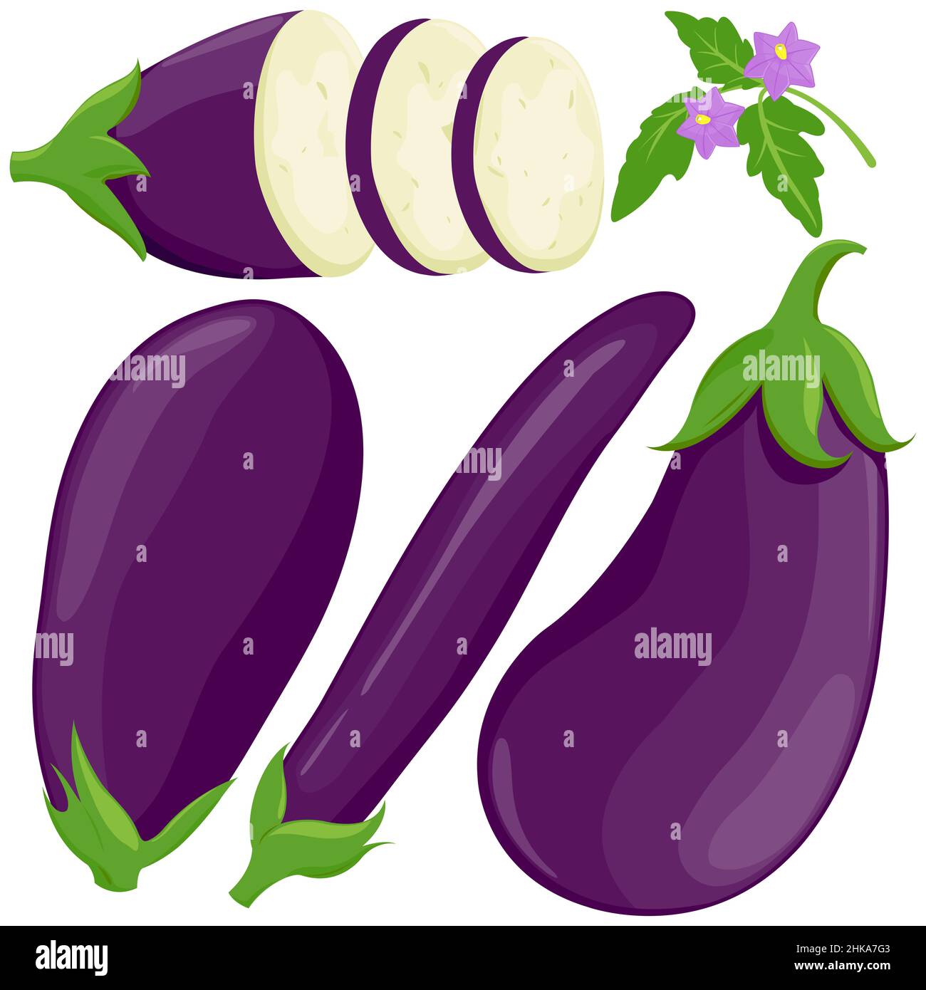 Melanzane fresche intere e tagliate a fette su sfondo bianco. Foto Stock