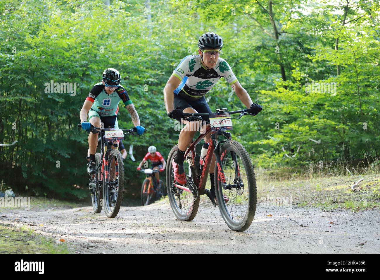 7R CST MTB Gdynia Marathon, Gdynia, Polonia - 20 Sep 2020: Campionato polacco XCM. I concorrenti che corrono lungo le strade forestali del Tricity Landsc Foto Stock
