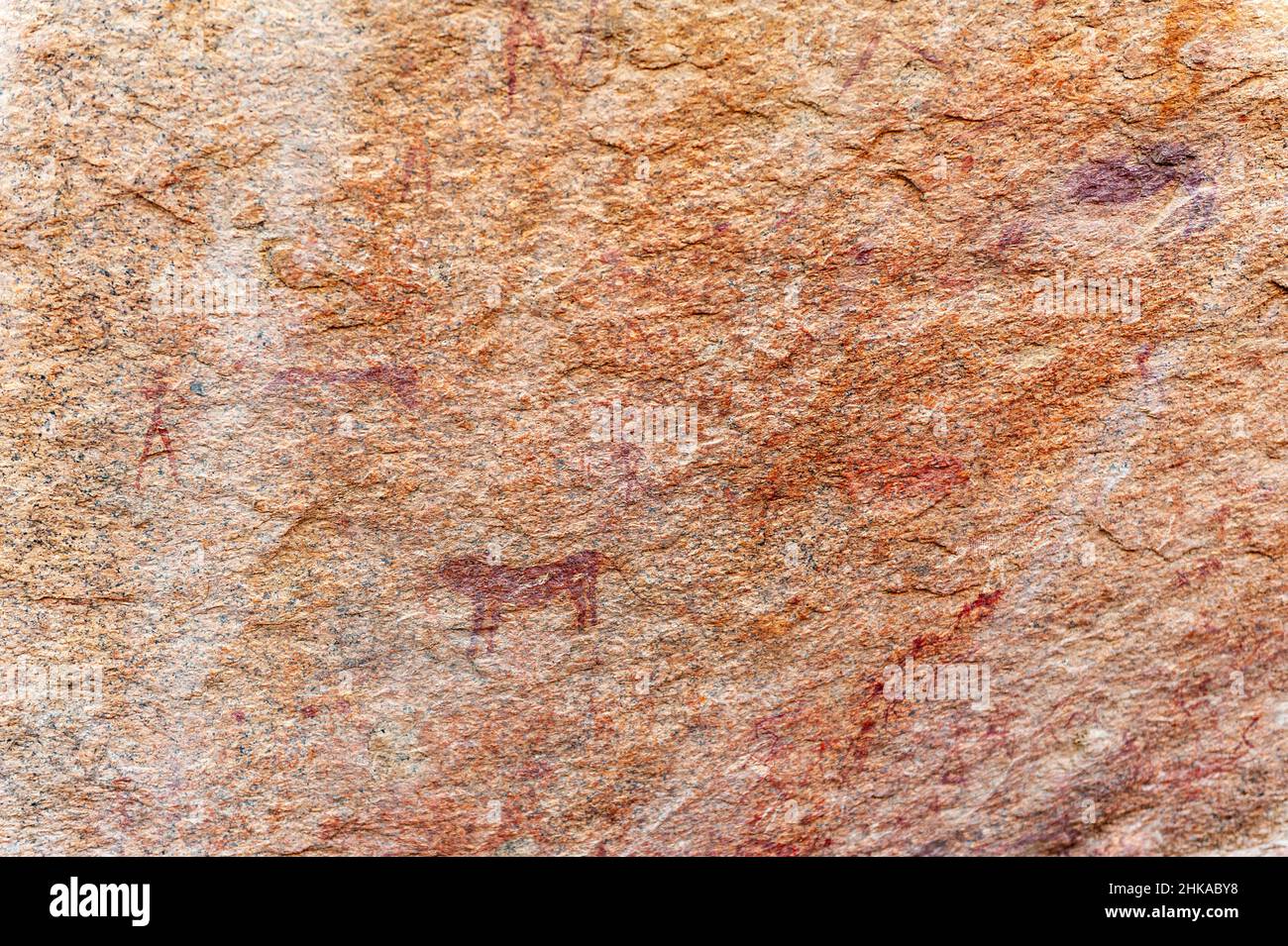 Dettaglio della preistoria pitture rupestri del San persone in Western Namibia, vicino Spitzkoppe. Foto Stock