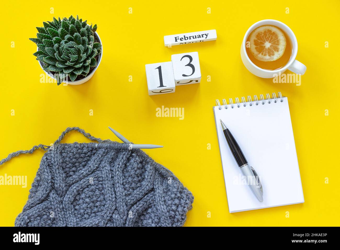 Legno cubi calendario febbraio 13th. Tazza di tè con limone, aprire il blocco note vuoto per il testo. Pentola con succulente e tessuto su aghi per maglieria su giallo b Foto Stock