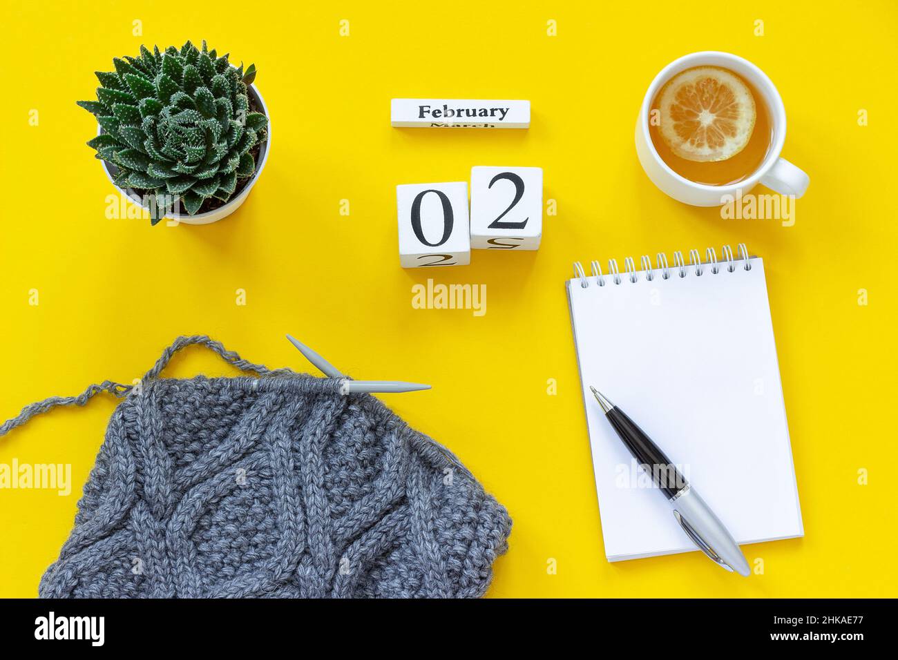 Legno cubi calendario febbraio 2nd. Tazza di tè con limone, aprire il blocco note vuoto per il testo. Pentola con succulente e tessuto su aghi per maglieria su ba gialla Foto Stock