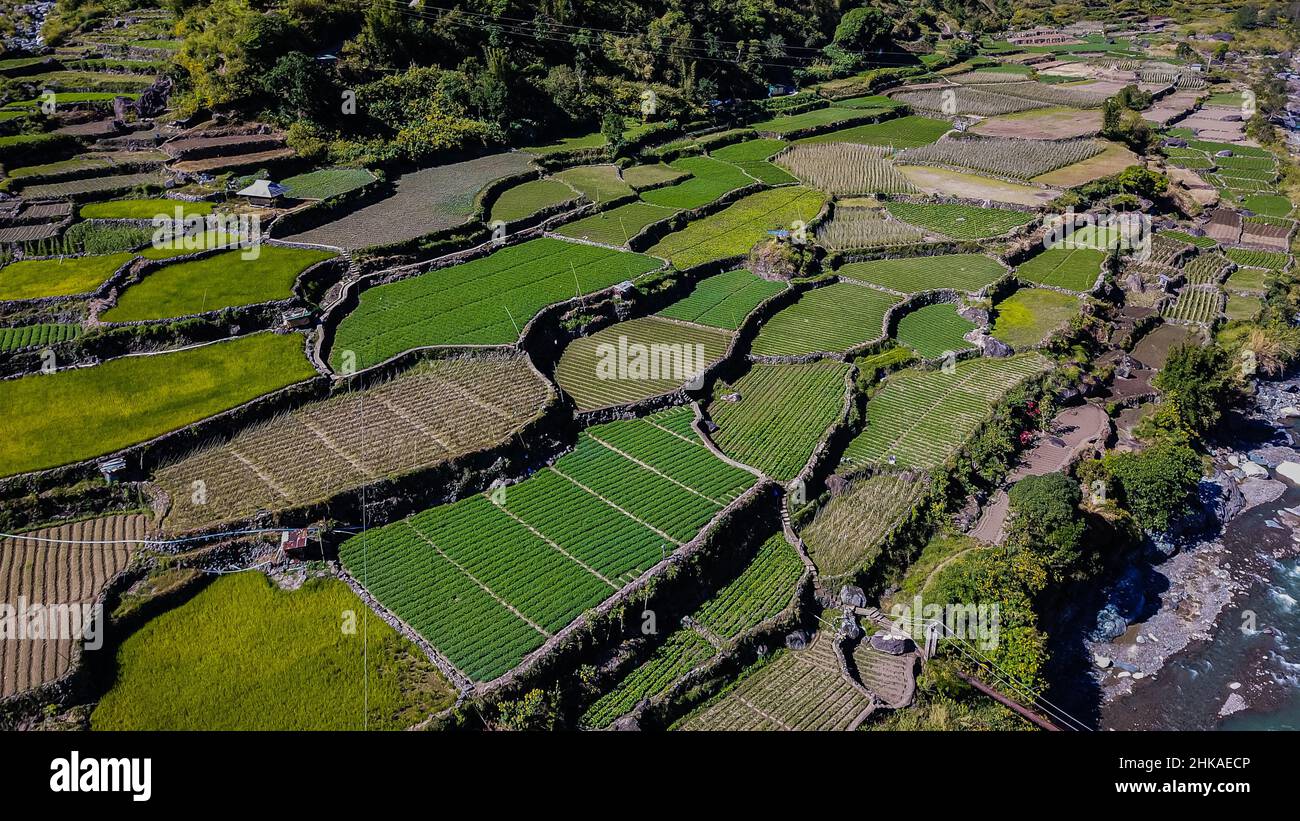 Vista dall'alto della fattoria terre risaie risaie orti giardini a Kabayan Buguet Filippine Foto Stock