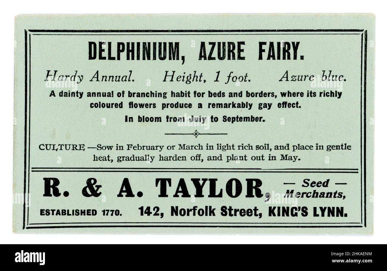 Confezione originale dei semi dei primi anni del 1900 contenente semi per delphinium, varietà Azure Fairy, da commercianti di semi R & A Taylor of King's Lynn, Norfolk, Inghilterra, Regno Unito circa anni '30 Foto Stock