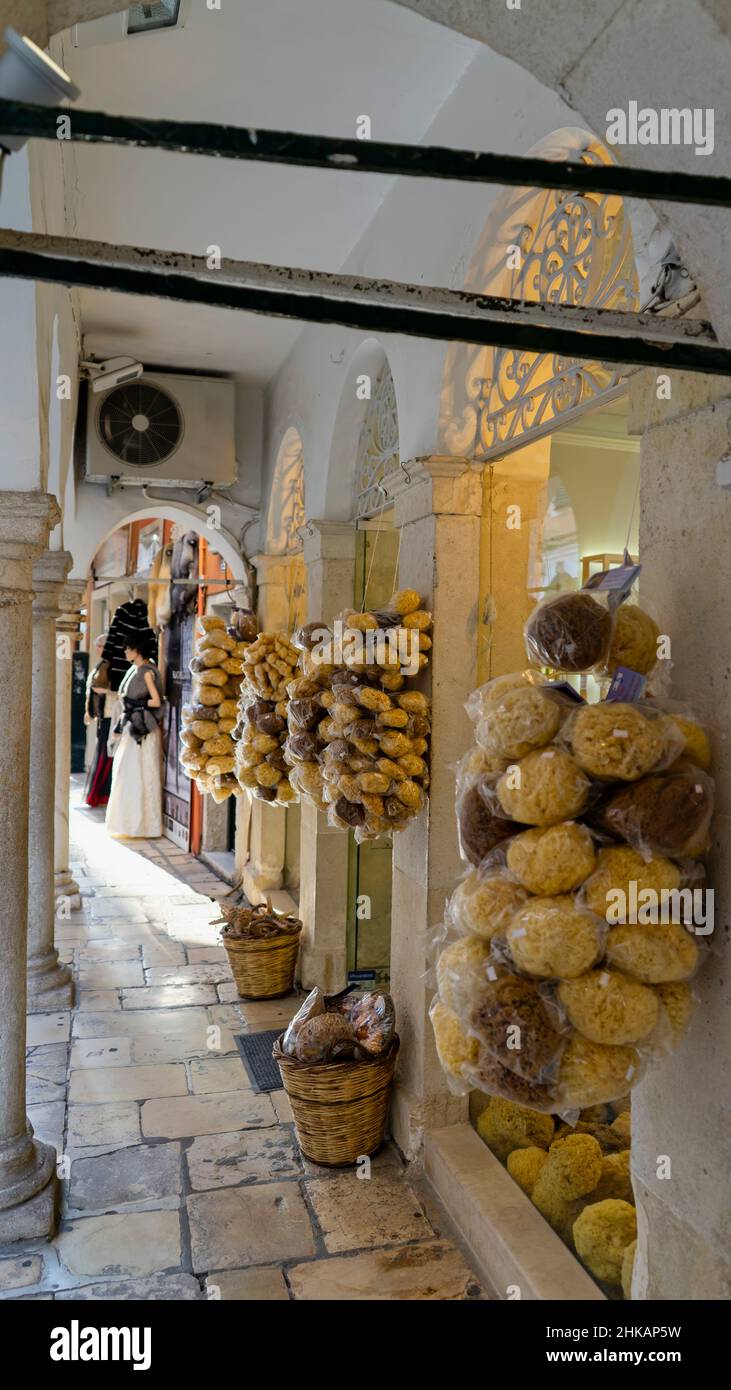 Vere spugne naturali dell'isola di Corfù appendono in un negozio nel centro storico di Kerkira a Corfù, in Grecia. Messa a fuoco intenzionale Foto Stock