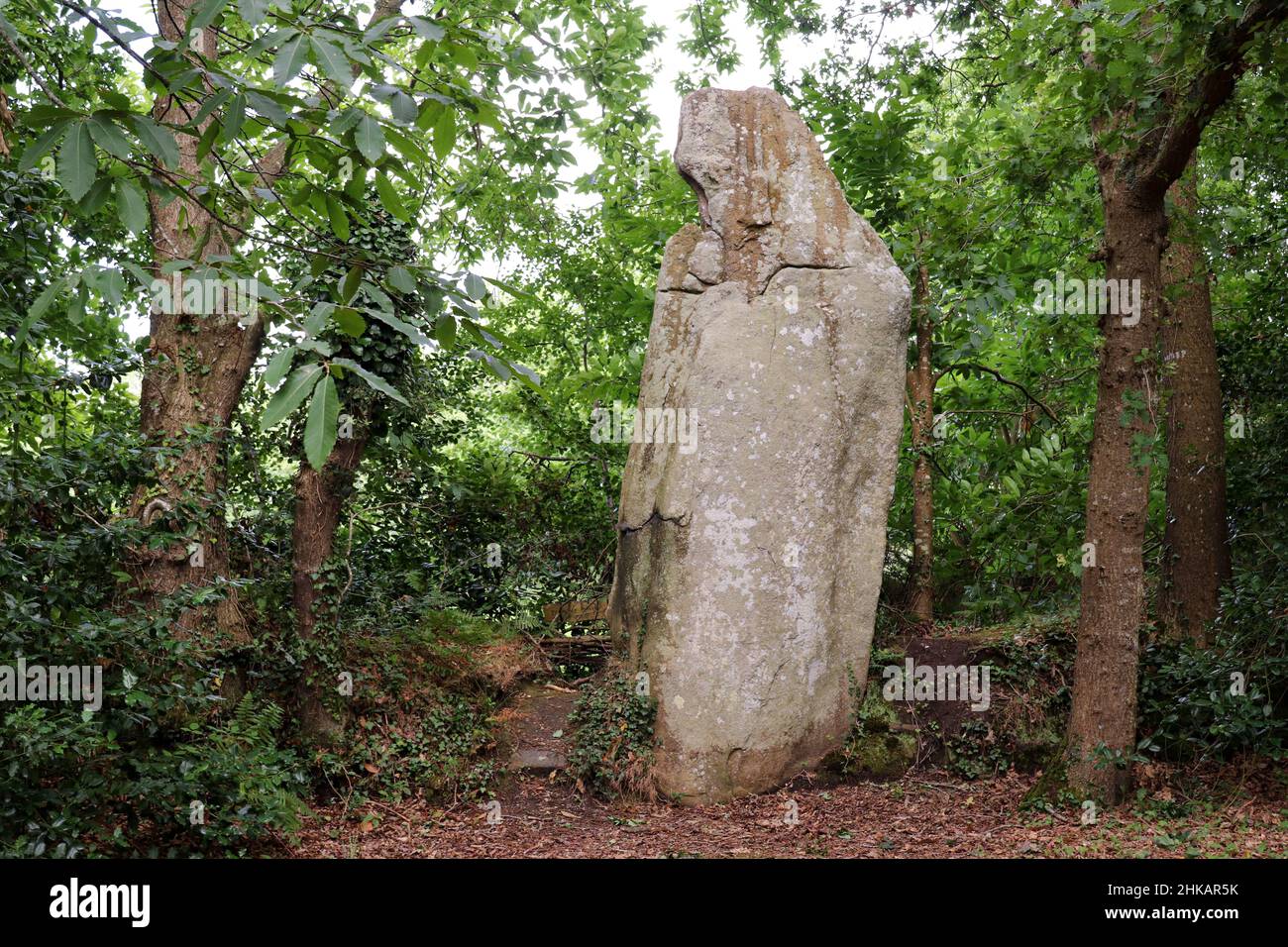 Menhir la Bonne Femme - in inglese la buona donna - a Veades vicino a Trebeurden in Bretagna, Francia Foto Stock