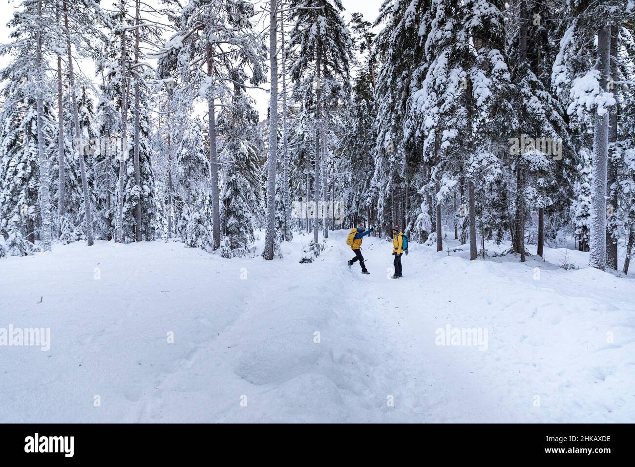 Madre e figlio fanno un'escursione invernale attraverso la foresta innevata di montagna Foto Stock