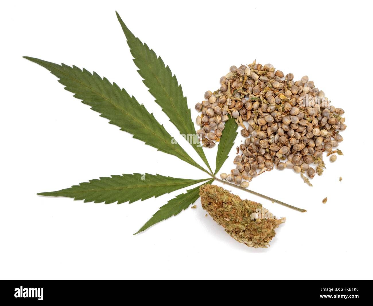 Foglia di cannabis isolata con semi su sfondo bianco Foto Stock