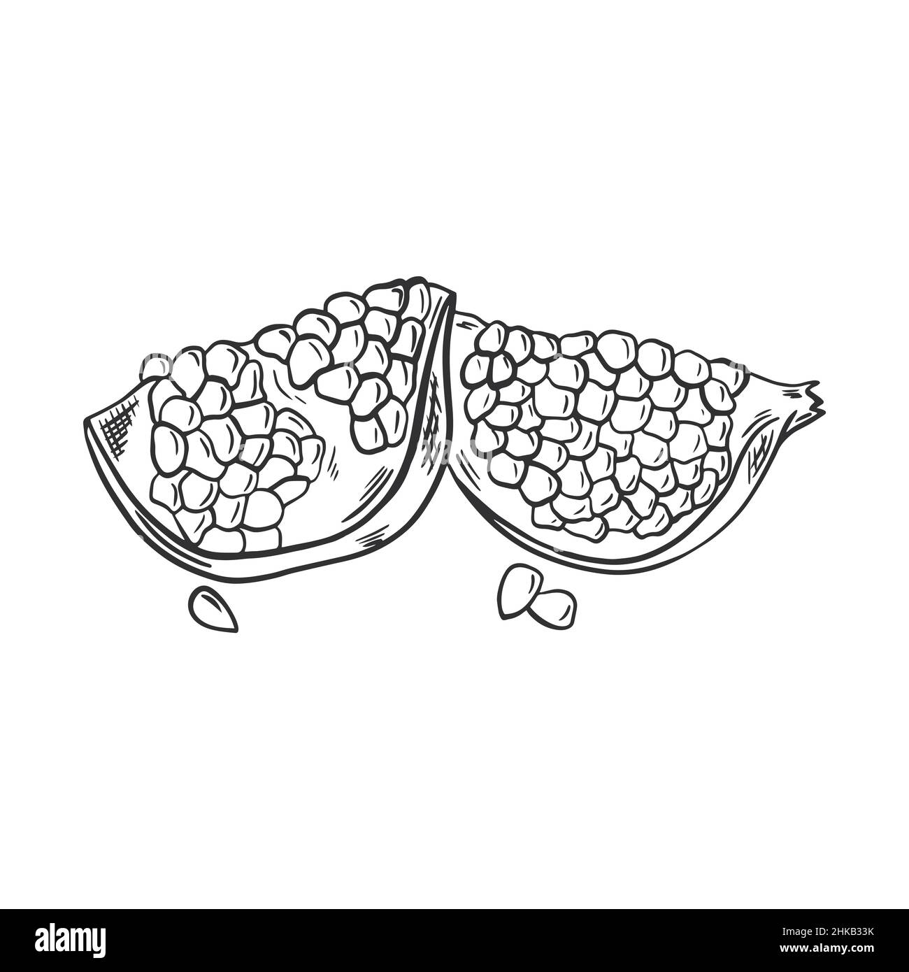 Parte melograno disegno a mano Illustrazione Vettoriale