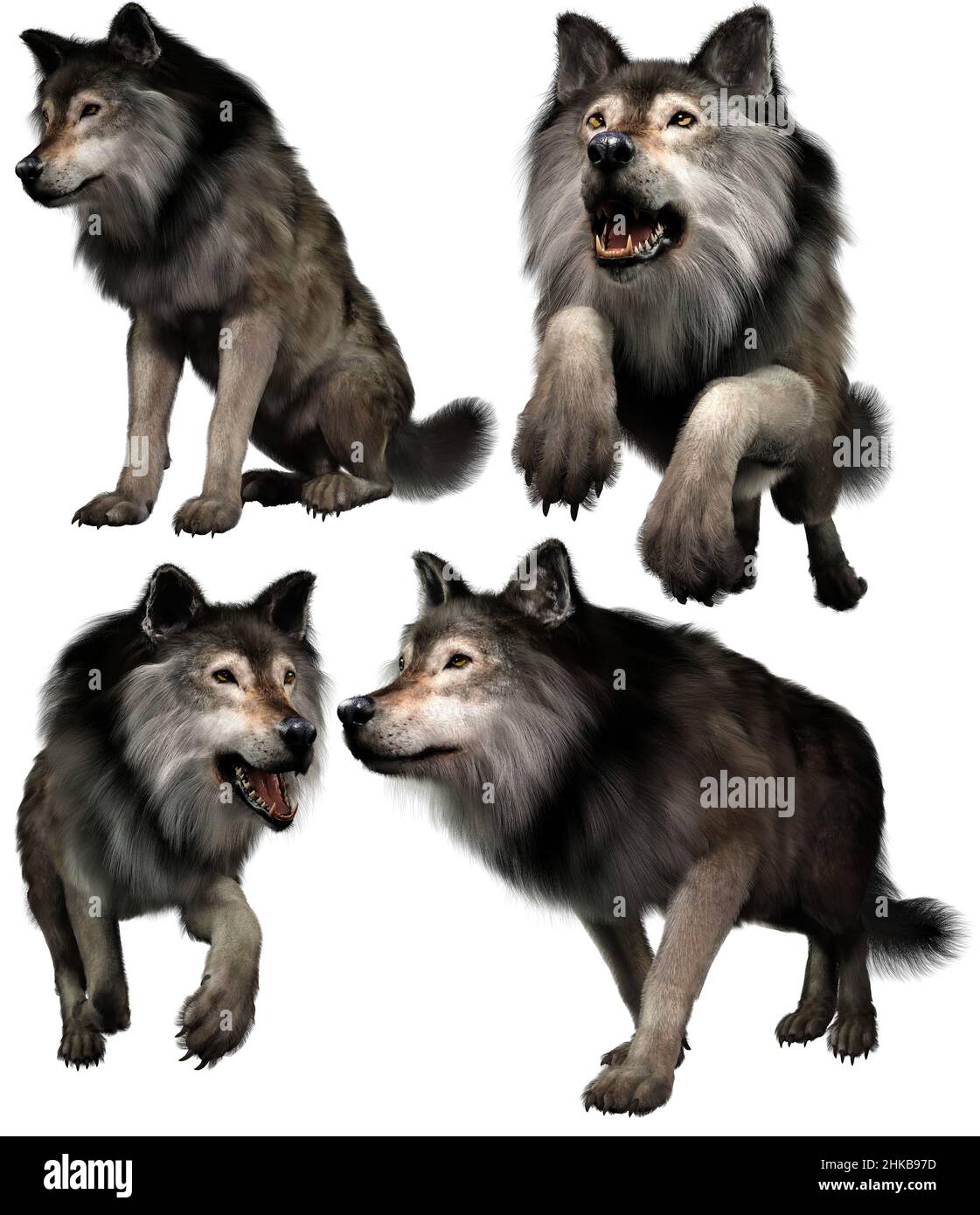 Lupi in varie pose 3D rende Foto Stock