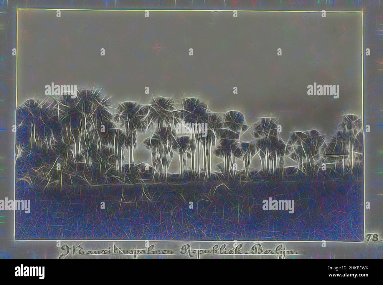 Ispirato dalle palme Mauritius Repubblica-Berlino, Una fila di palme mauritius (lungo una strada) tra i luoghi Repubblica e Berlino. Parte dell'album fotografico souvenir de Voyage (parte 3), sulla vita della famiglia Doijer dentro e intorno alla piantagione ma Retraite in Suriname negli anni 1906-1913., Hendrik, Reimagined by Artotop. L'arte classica reinventata con un tocco moderno. Design di calda e allegra luminosità e di raggi di luce. La fotografia si ispira al surrealismo e al futurismo, abbracciando l'energia dinamica della tecnologia moderna, del movimento, della velocità e rivoluzionando la cultura Foto Stock