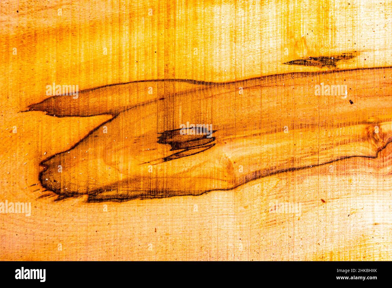 Corteccia di albero e colori in Inghilterra Foto Stock