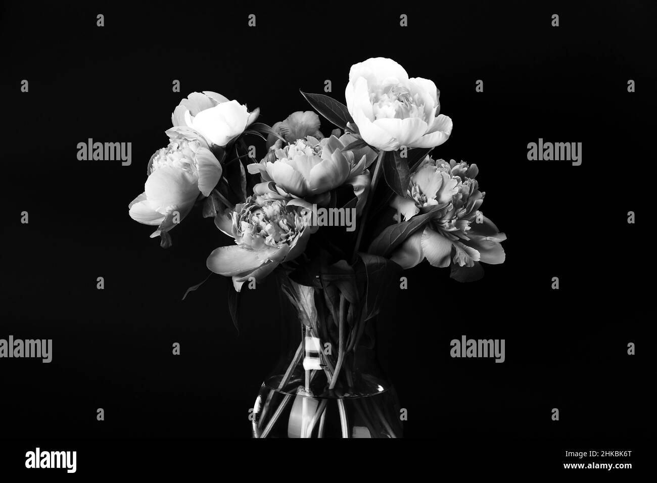 Bouquet di peonie in vaso di vetro su sfondo nero. Foto in bianco e nero. Carta floreale, poster design Foto Stock