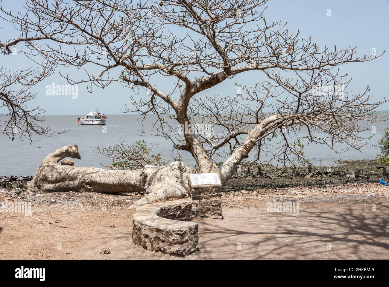 Vista sul fiume Gambia da James Island Foto Stock