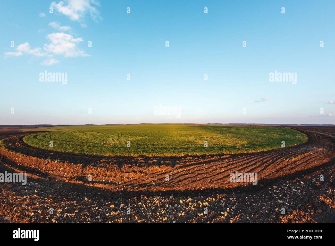 Campo verde rotondo. Un piccolo appezzamento di terra fertile. Raccolti in primavera Foto Stock