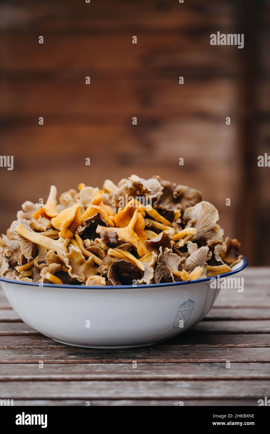 Una ciotola di smalto piena di chanterelles e chanterelle a imbuto Foto Stock
