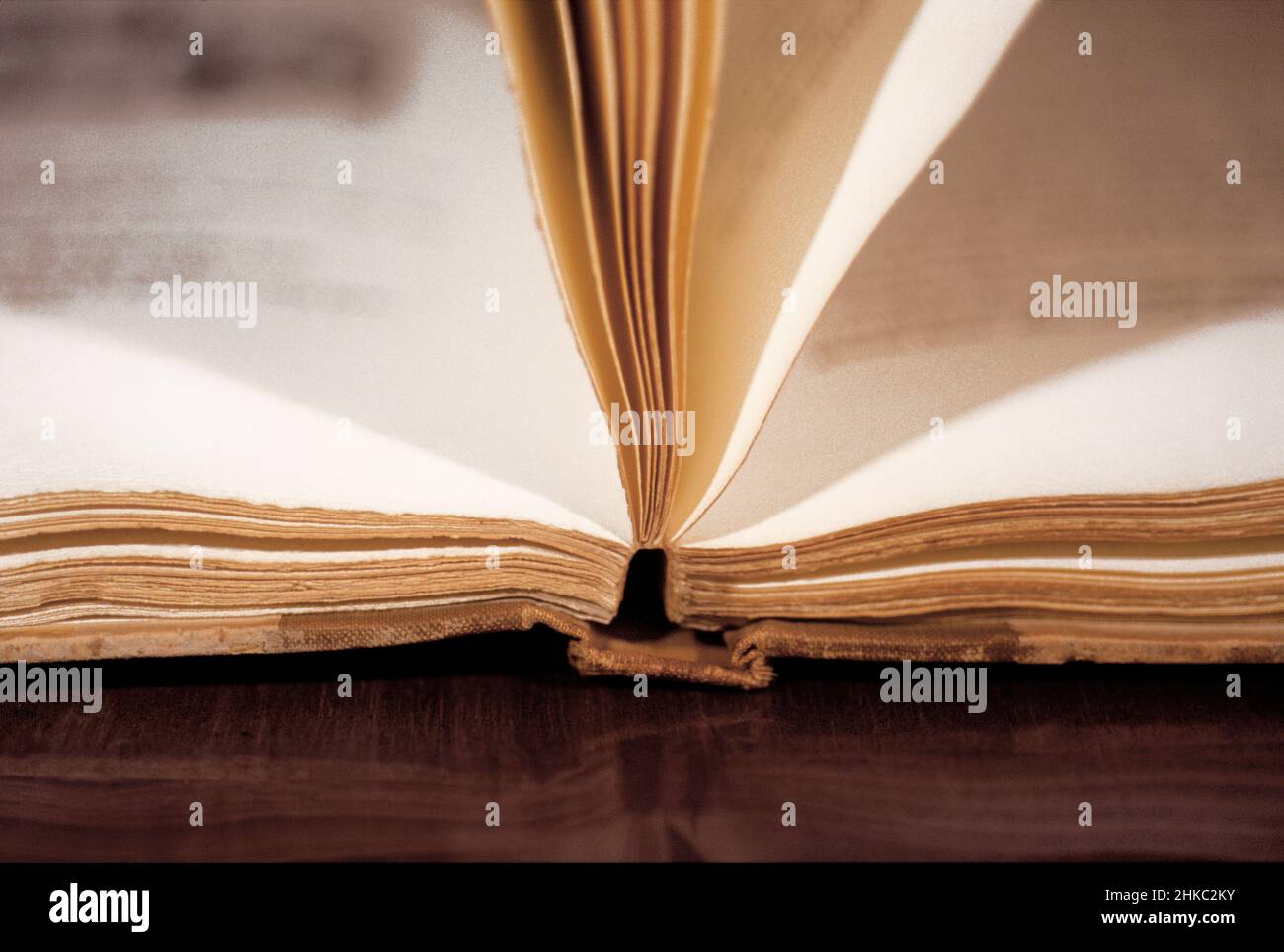Libro aperto, vista ad angolo basso, primo piano. Apri libro su un tavolo. Libri d'epoca. Foto Stock