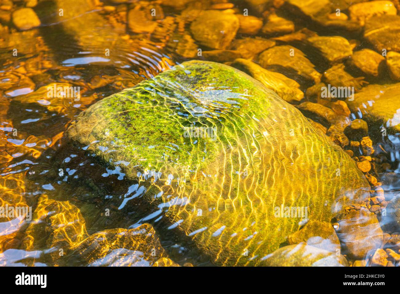 Le acque torbide del fiume Allen che scorre su una roccia a Allen Banks vicino Beltingham, Northumberland Regno Unito Foto Stock