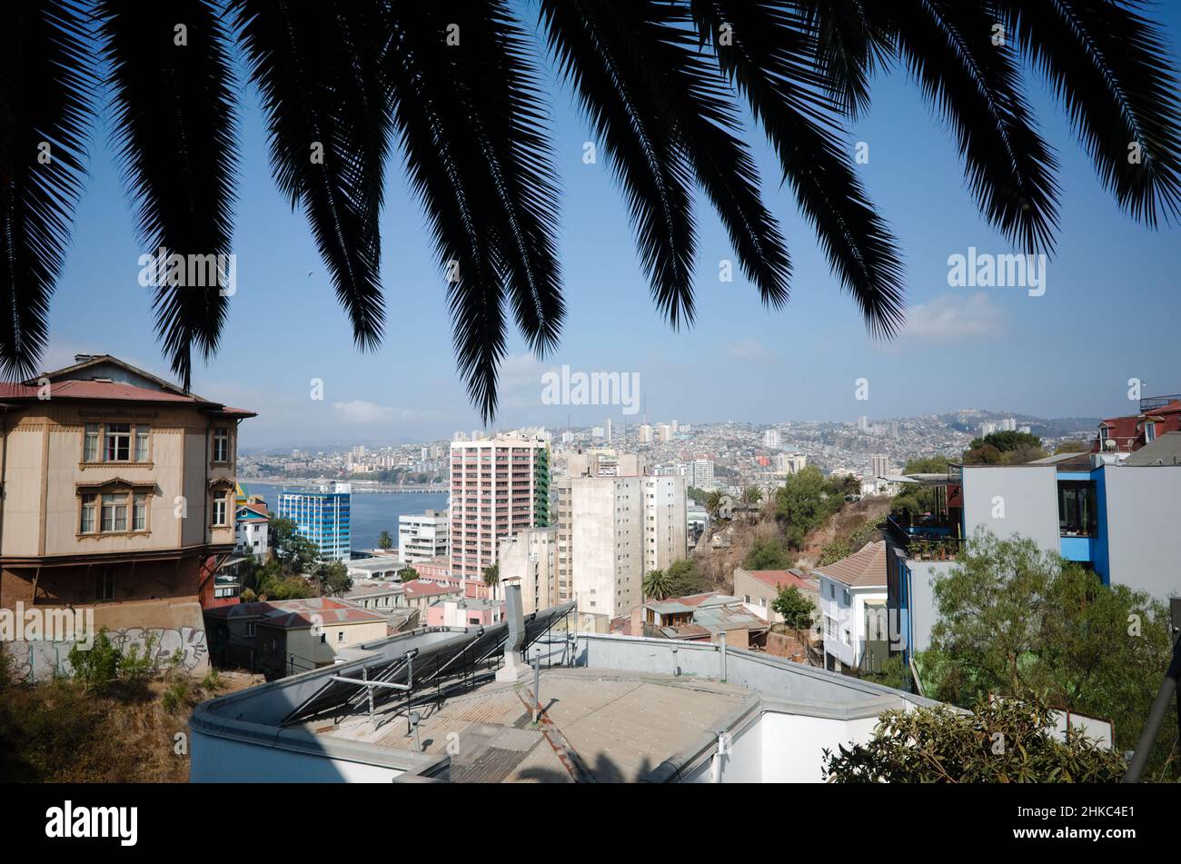 Valparaiso, Cile - Febbraio, 2020: Vista panoramica della città di Valparaiso attraverso foglie di palma. Panorama di Valparaiso da Paseo Dimalow Cerro Alegre Foto Stock