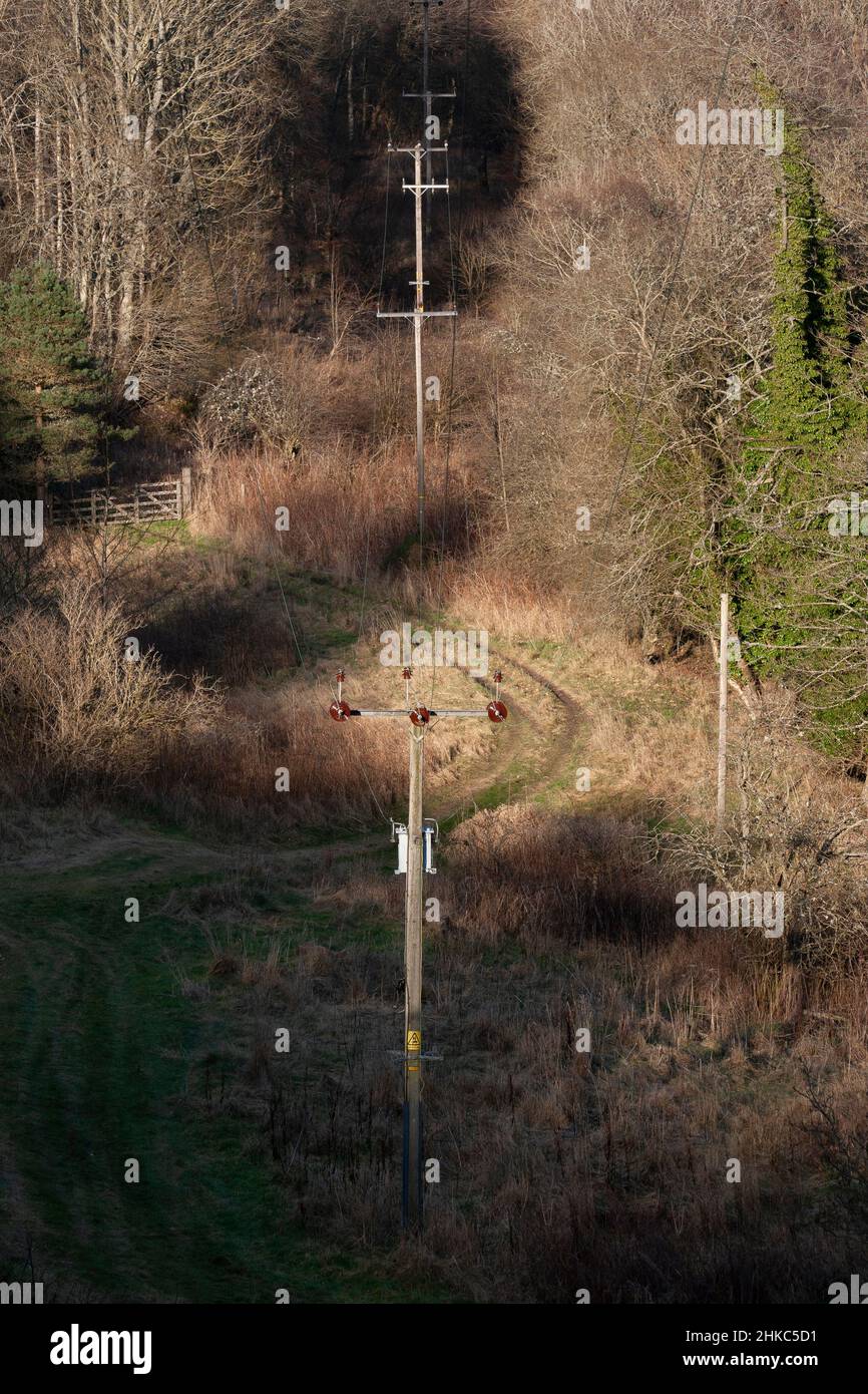 Pali Telegraph a Roslin Glen, Midlothian, Scozia Foto Stock