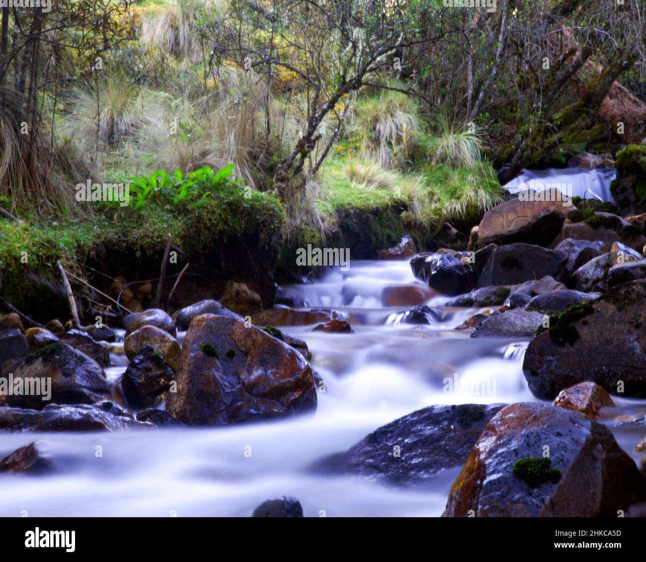 Slow-motion time-lapse di blurry paesaggio d'acqua fiume e verde foresta pluviale lungo Santa Cruz Trek vicino Huaraz, Perù. Foto Stock