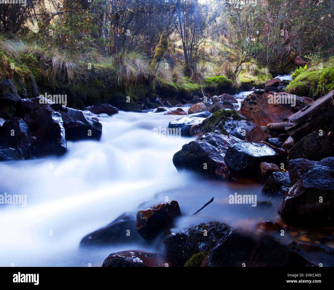 Slow-motion time-lapse di blurry paesaggio d'acqua fiume e verde foresta pluviale lungo Santa Cruz Trek vicino Huaraz, Perù. Foto Stock
