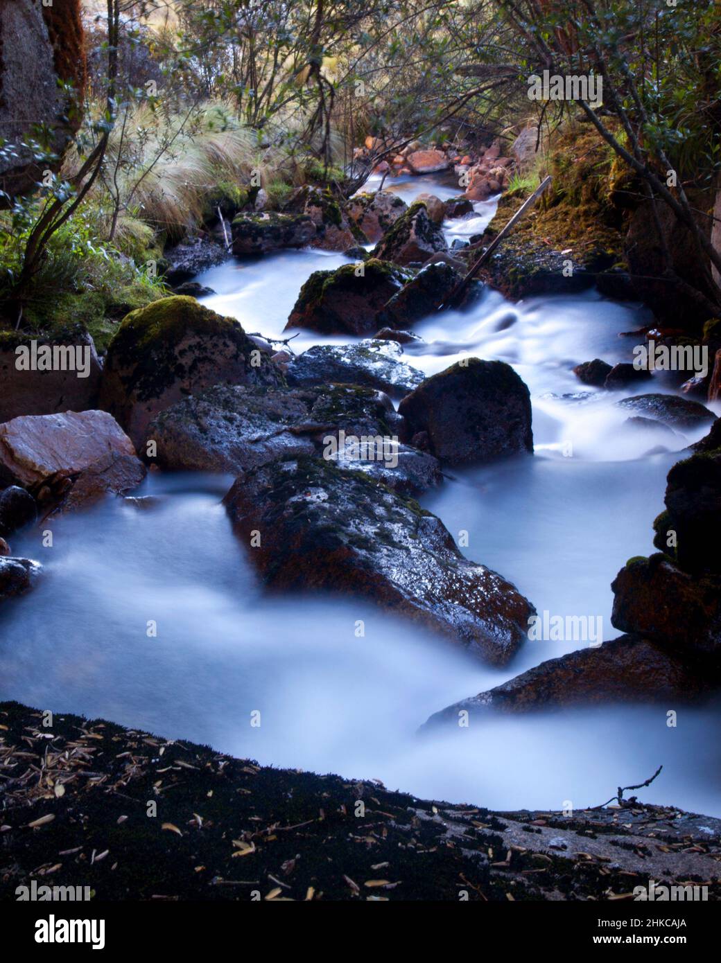 Slow-motion time-lapse di blurry paesaggio d'acqua fiume e verde foresta pluviale lungo Santa Cruz Trek vicino Huaraz, Perù. Foto Stock